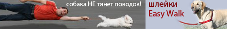 шлейка Easy walk собака не тянет поводок
